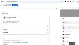 Google Chrome正式版135.0.7049.42绿化便携版-集成deepseek等多个AI对话